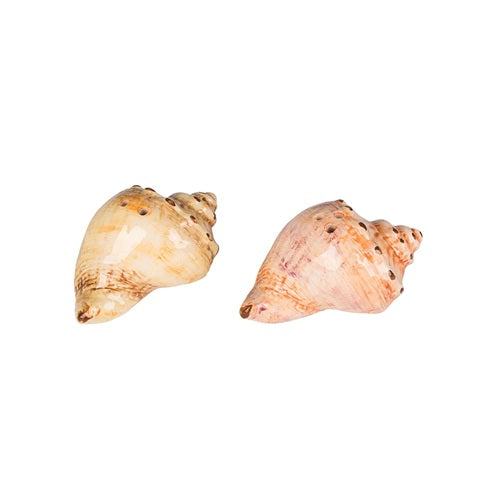 Shell Salt & Pepper Shakers
